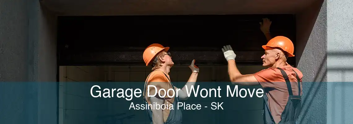 Garage Door Wont Move Assiniboia Place - SK