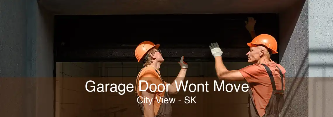 Garage Door Wont Move City View - SK