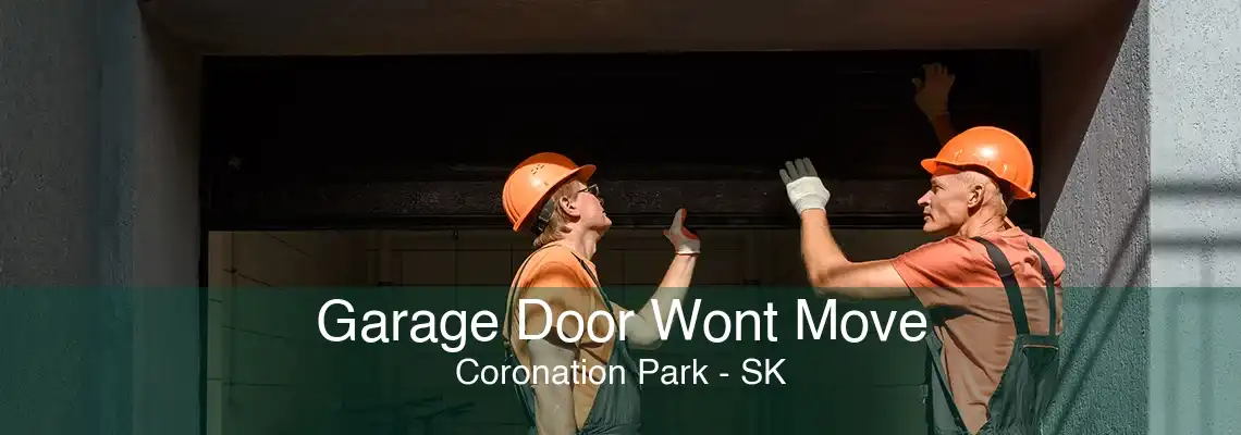 Garage Door Wont Move Coronation Park - SK