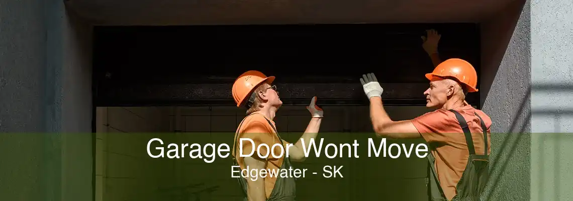 Garage Door Wont Move Edgewater - SK