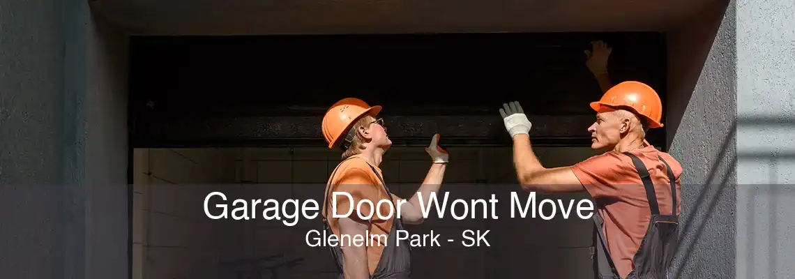 Garage Door Wont Move Glenelm Park - SK