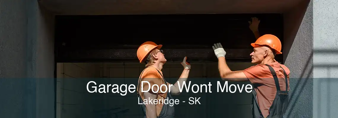 Garage Door Wont Move Lakeridge - SK