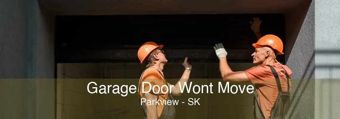 Garage Door Wont Move Parkview - SK