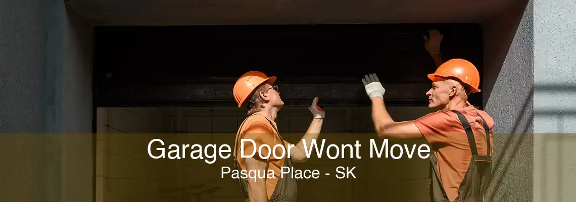 Garage Door Wont Move Pasqua Place - SK