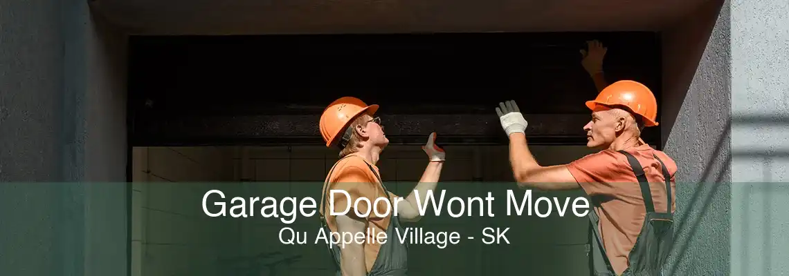 Garage Door Wont Move Qu Appelle Village - SK