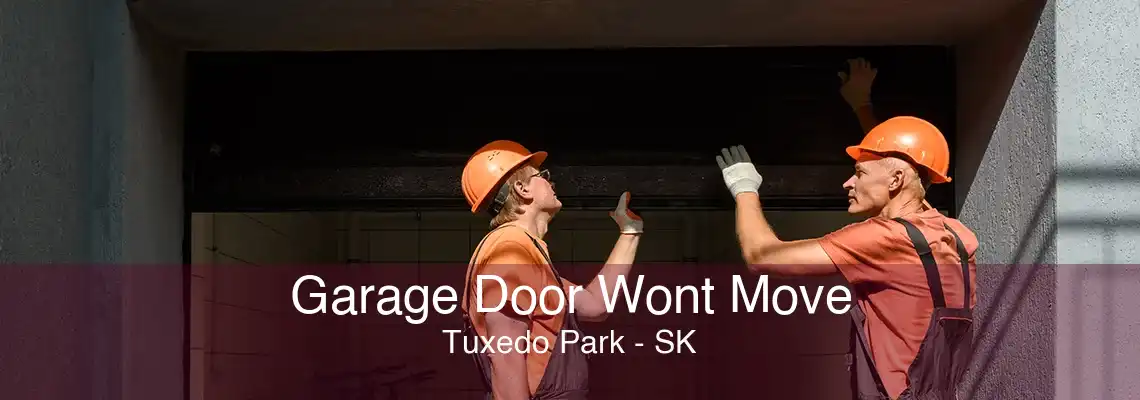 Garage Door Wont Move Tuxedo Park - SK