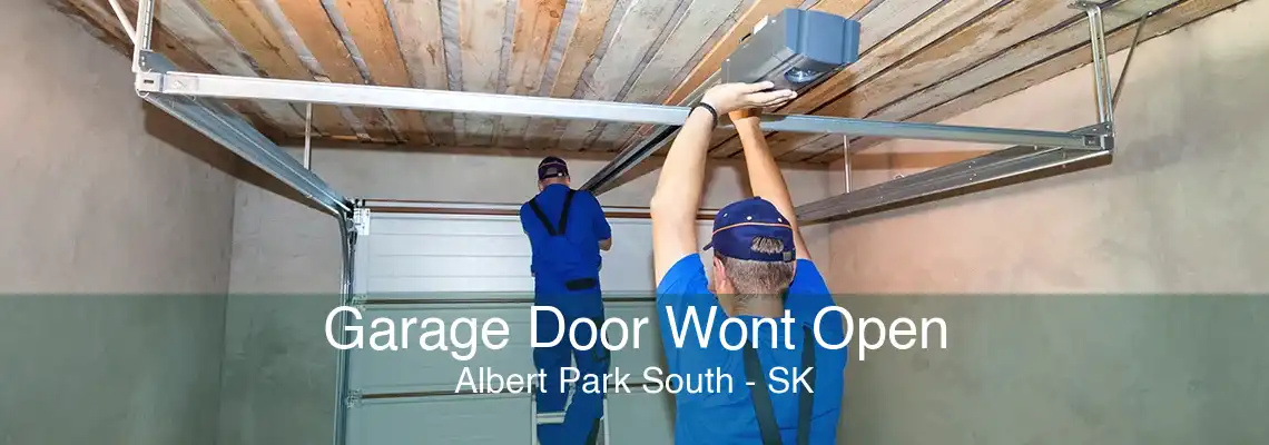 Garage Door Wont Open Albert Park South - SK