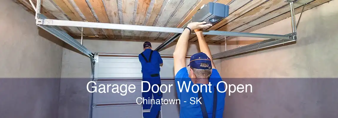 Garage Door Wont Open Chinatown - SK