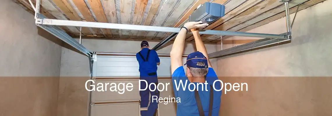 Garage Door Wont Open Regina