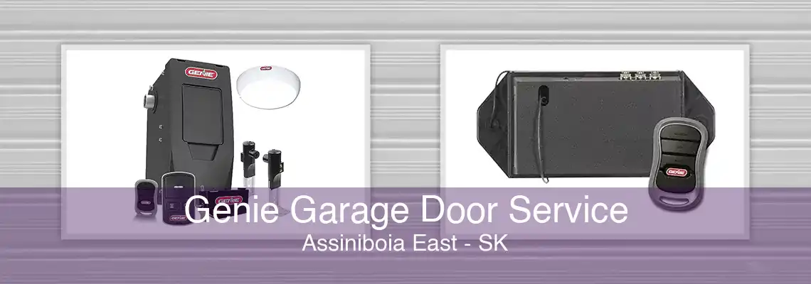 Genie Garage Door Service Assiniboia East - SK