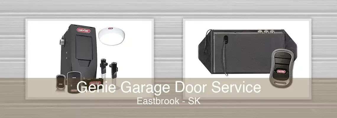 Genie Garage Door Service Eastbrook - SK