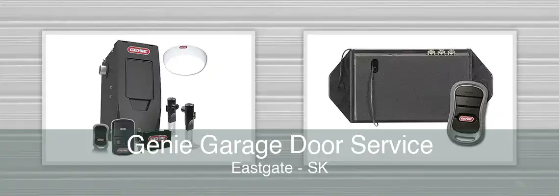 Genie Garage Door Service Eastgate - SK