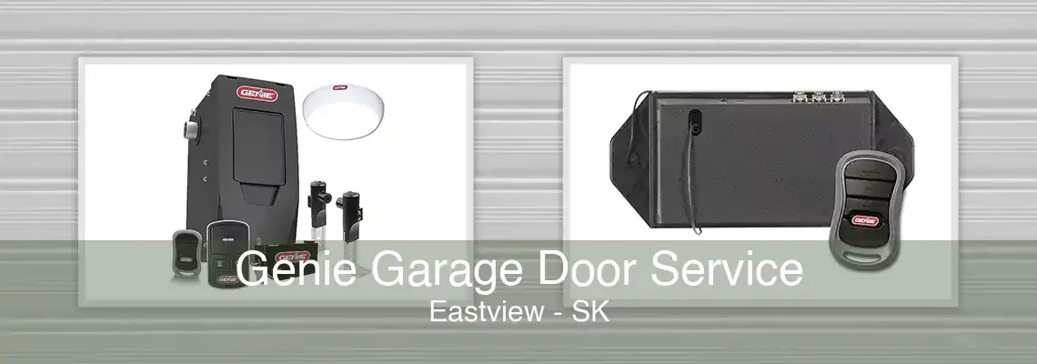 Genie Garage Door Service Eastview - SK