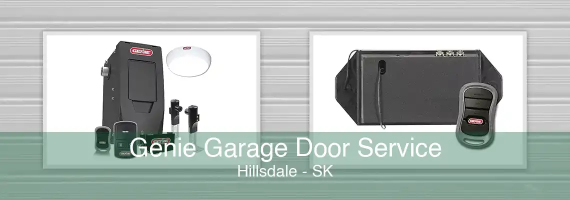 Genie Garage Door Service Hillsdale - SK