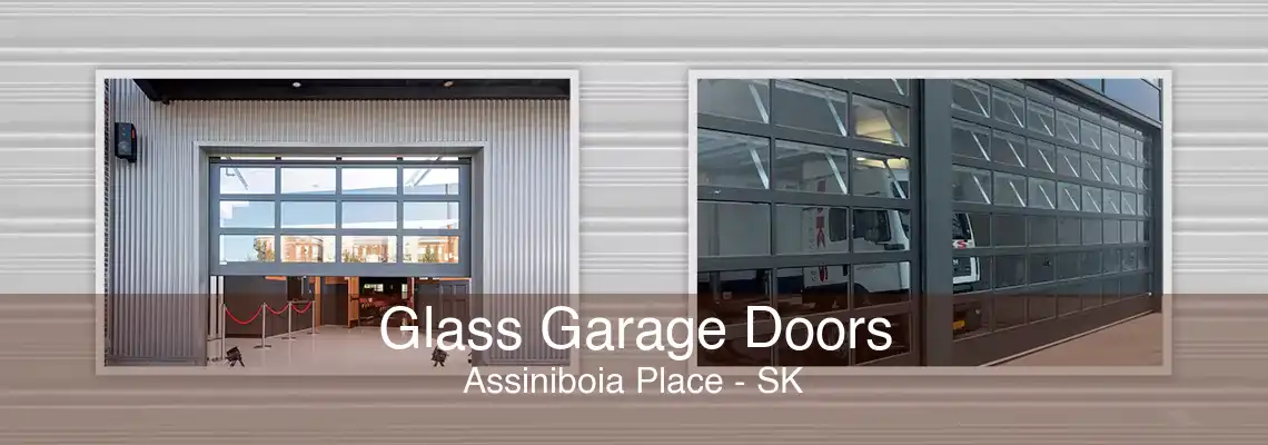 Glass Garage Doors Assiniboia Place - SK