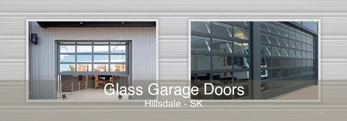 Glass Garage Doors Hillsdale - SK