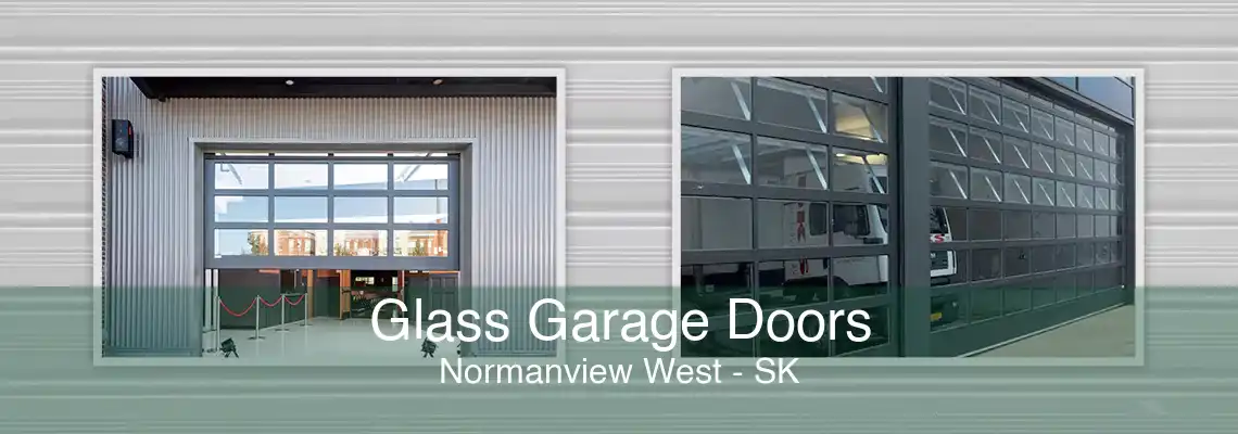 Glass Garage Doors Normanview West - SK