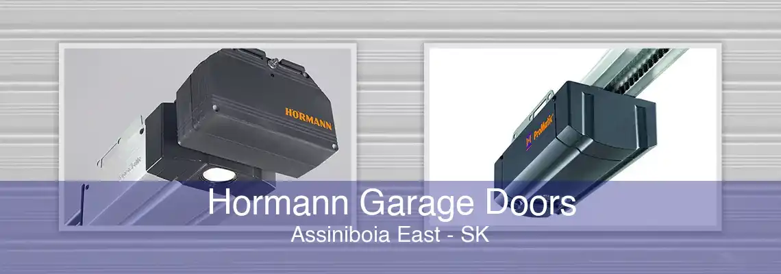 Hormann Garage Doors Assiniboia East - SK