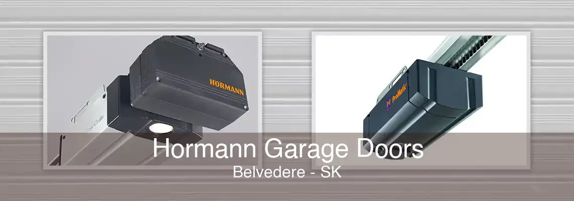 Hormann Garage Doors Belvedere - SK