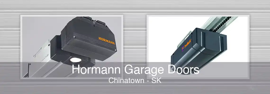 Hormann Garage Doors Chinatown - SK