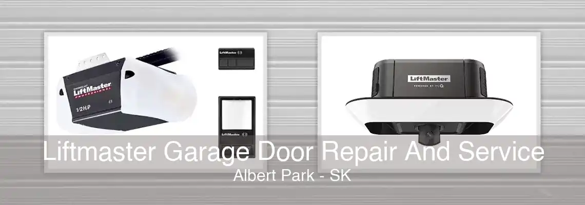 Liftmaster Garage Door Repair And Service Albert Park - SK