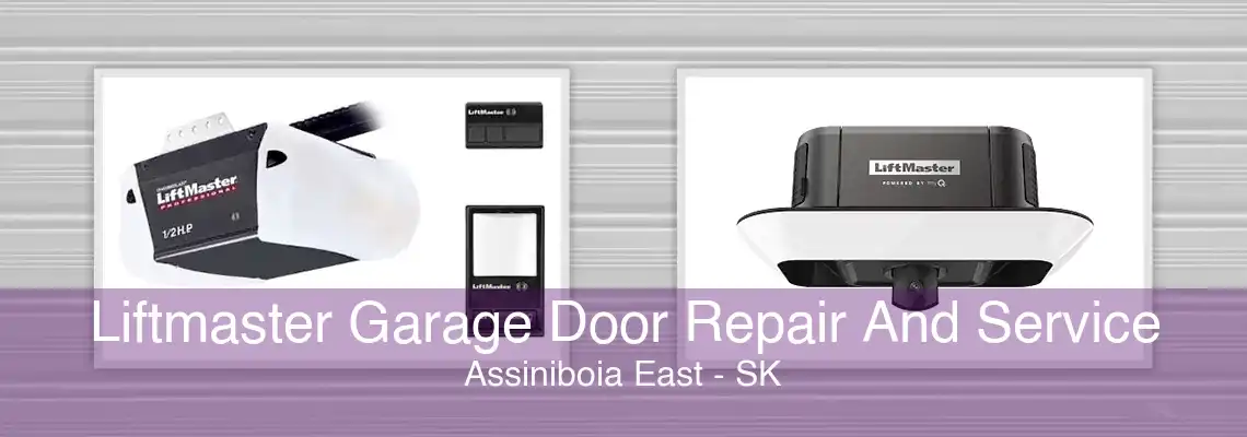 Liftmaster Garage Door Repair And Service Assiniboia East - SK