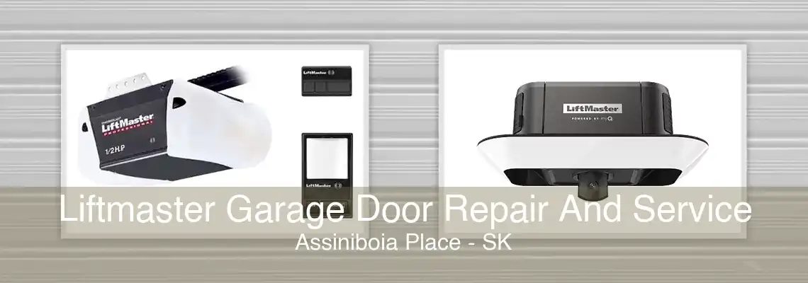 Liftmaster Garage Door Repair And Service Assiniboia Place - SK