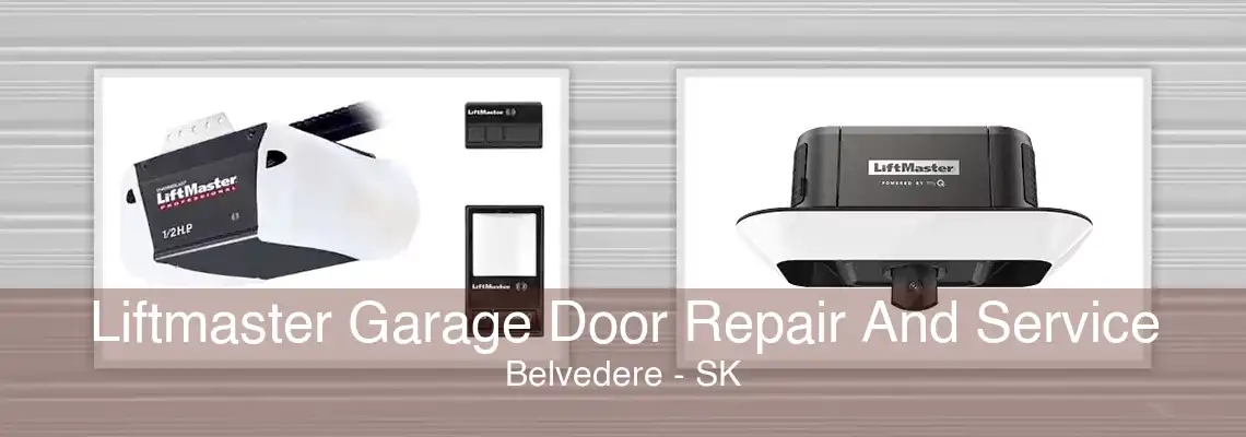 Liftmaster Garage Door Repair And Service Belvedere - SK