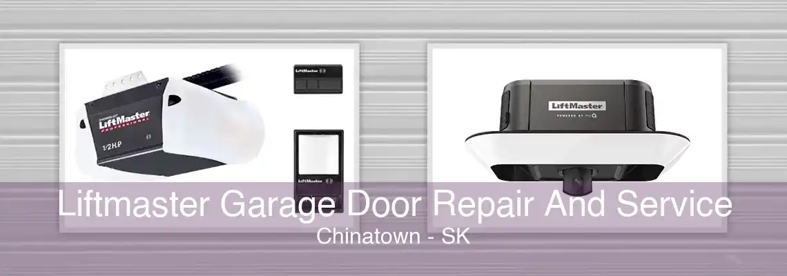 Liftmaster Garage Door Repair And Service Chinatown - SK