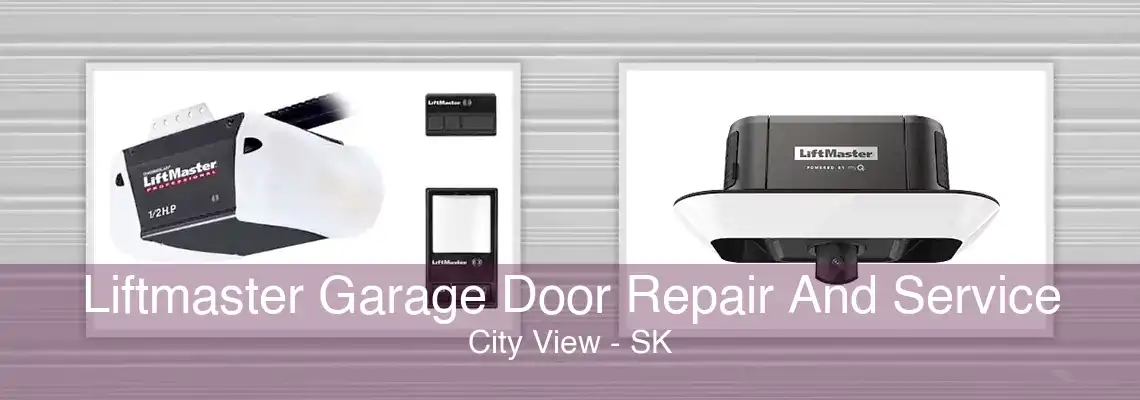 Liftmaster Garage Door Repair And Service City View - SK