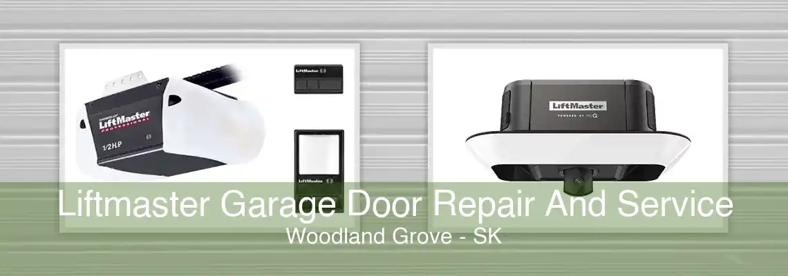 Liftmaster Garage Door Repair And Service Woodland Grove - SK