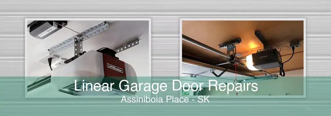 Linear Garage Door Repairs Assiniboia Place - SK