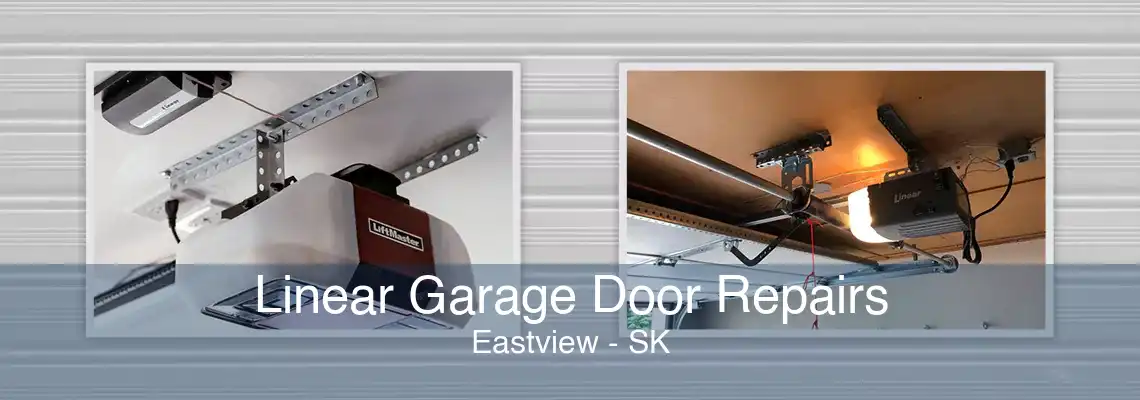 Linear Garage Door Repairs Eastview - SK