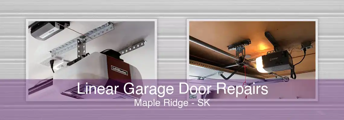 Linear Garage Door Repairs Maple Ridge - SK