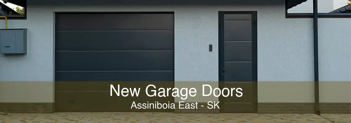 New Garage Doors Assiniboia East - SK