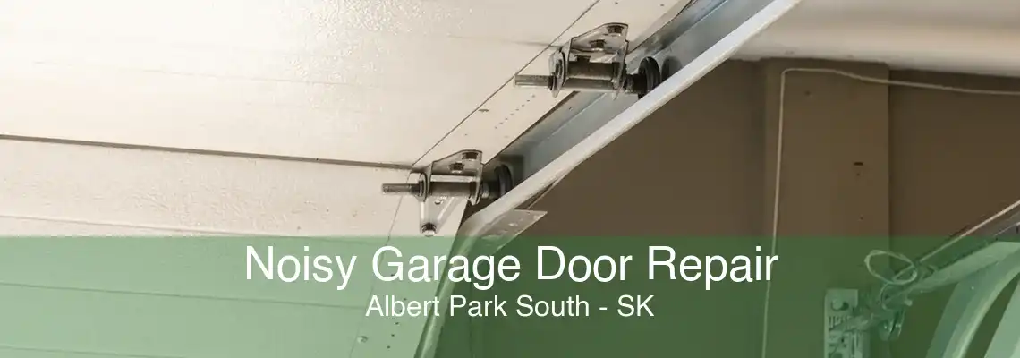 Noisy Garage Door Repair Albert Park South - SK