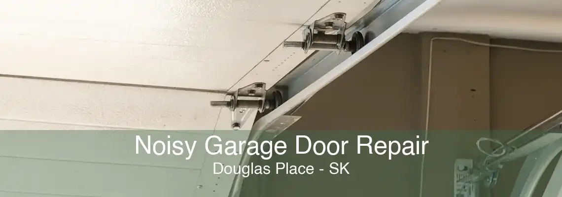 Noisy Garage Door Repair Douglas Place - SK