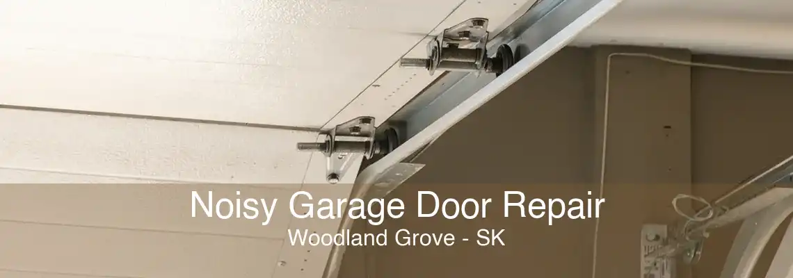 Noisy Garage Door Repair Woodland Grove - SK