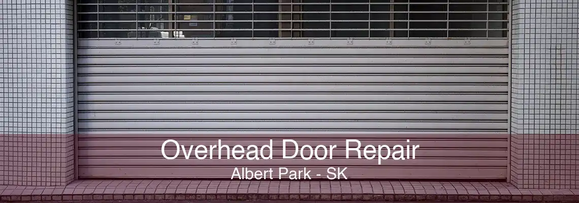 Overhead Door Repair Albert Park - SK