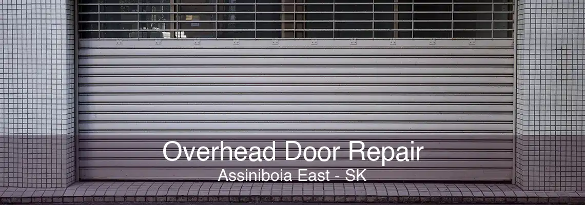 Overhead Door Repair Assiniboia East - SK