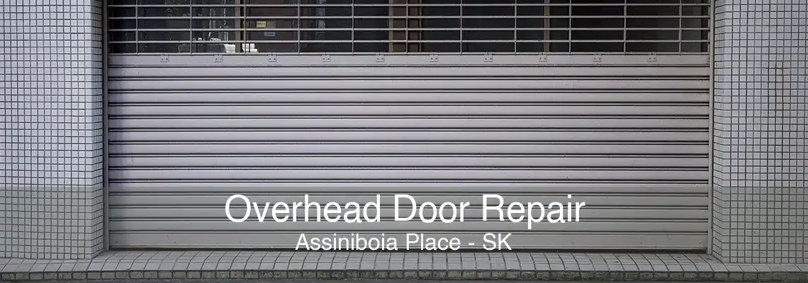 Overhead Door Repair Assiniboia Place - SK