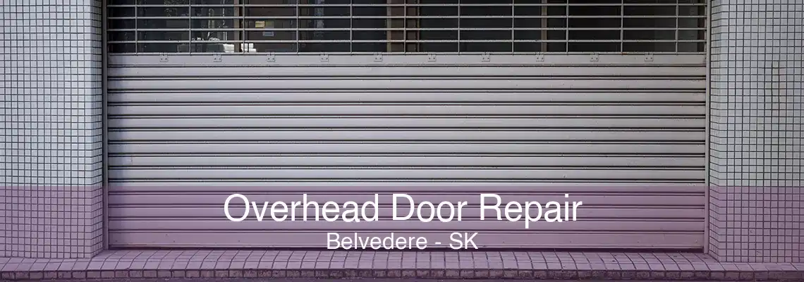 Overhead Door Repair Belvedere - SK