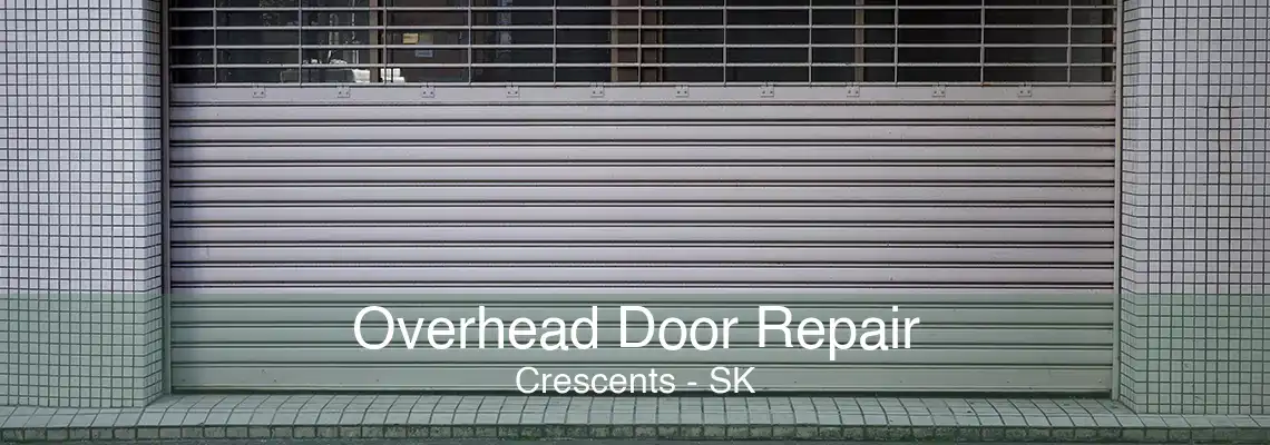 Overhead Door Repair Crescents - SK