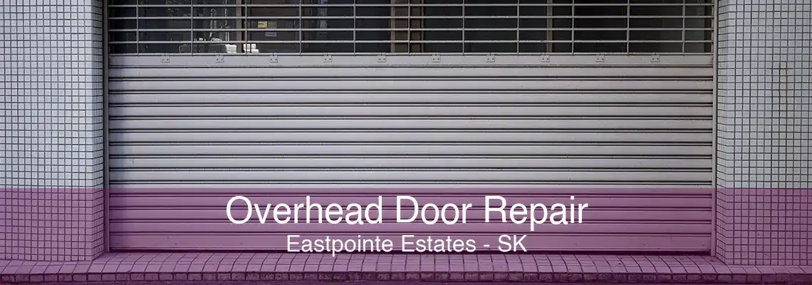 Overhead Door Repair Eastpointe Estates - SK