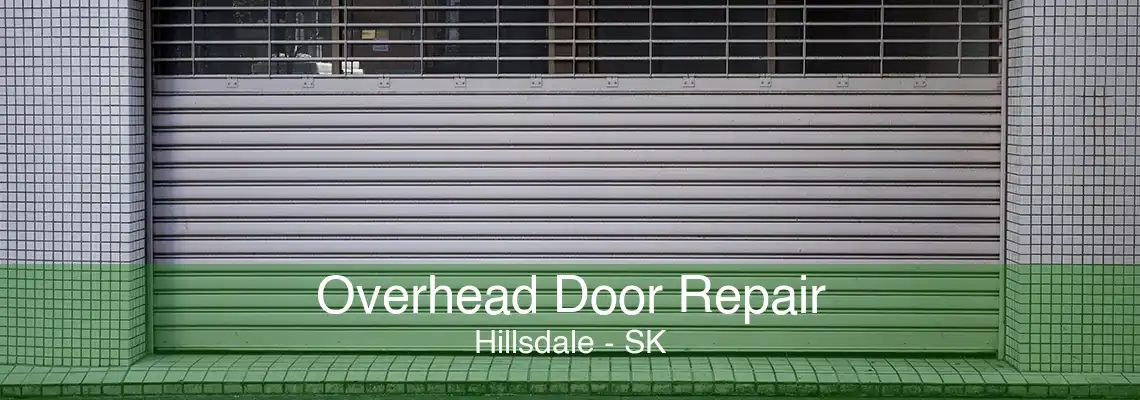 Overhead Door Repair Hillsdale - SK