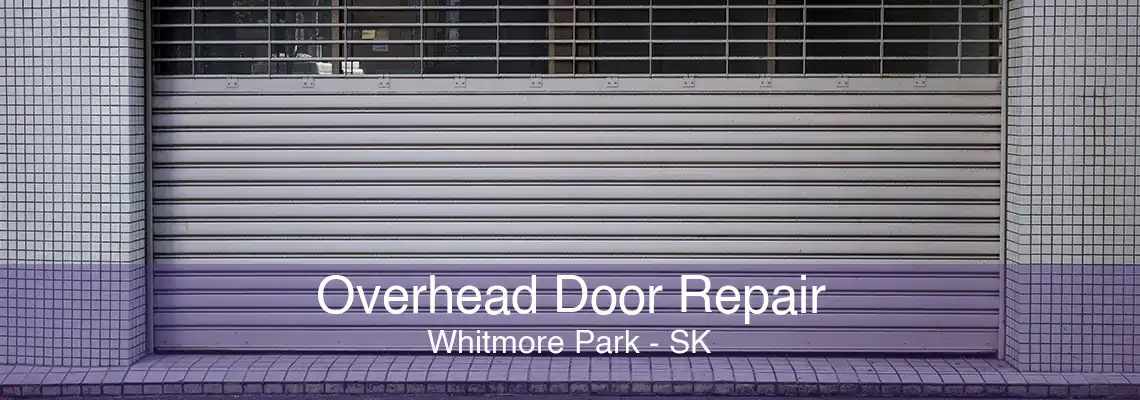 Overhead Door Repair Whitmore Park - SK