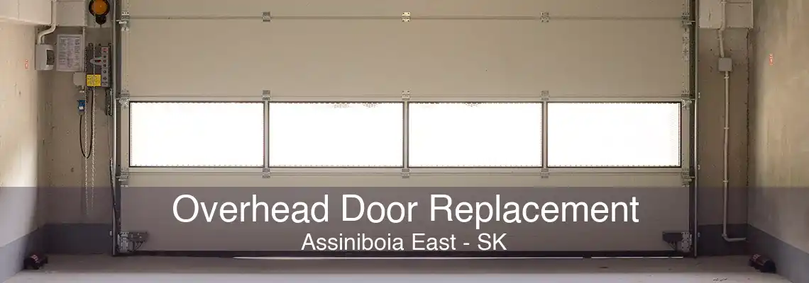 Overhead Door Replacement Assiniboia East - SK