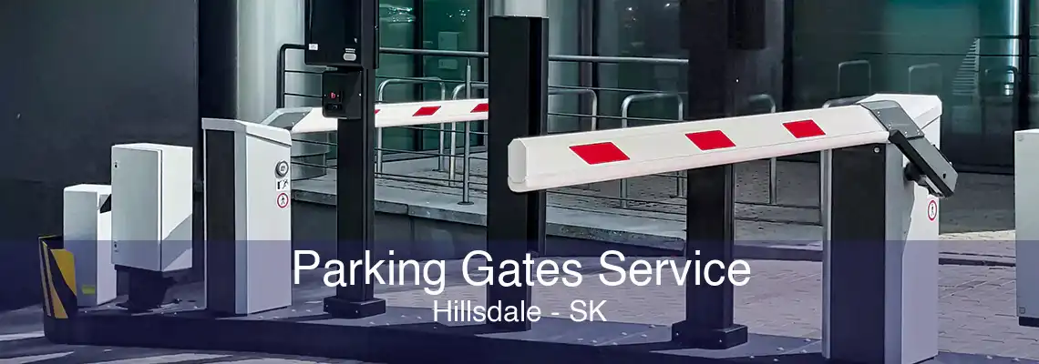 Parking Gates Service Hillsdale - SK