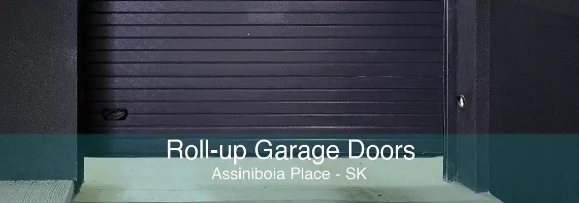 Roll-up Garage Doors Assiniboia Place - SK