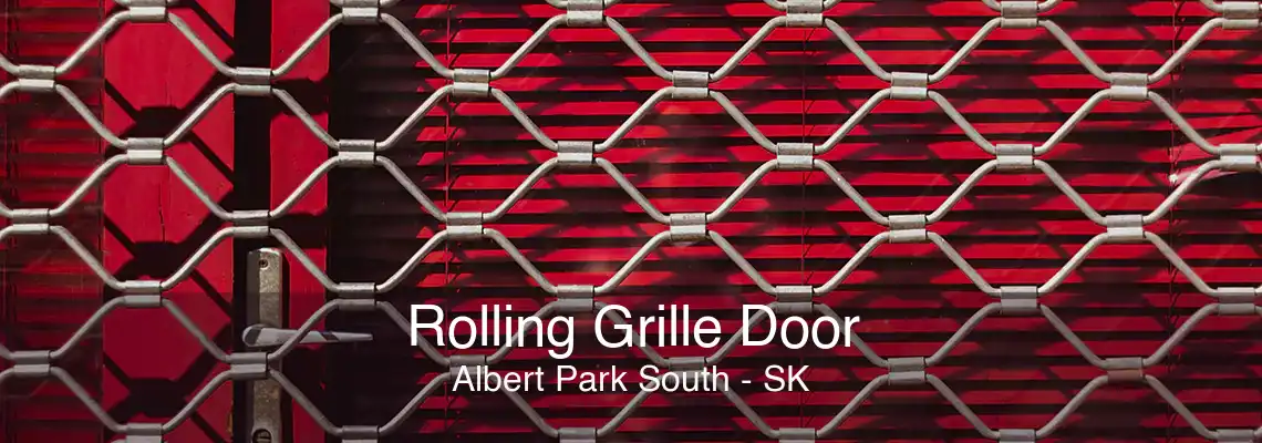 Rolling Grille Door Albert Park South - SK